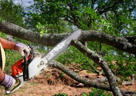 Best Lot and Land Clearing  in , NH